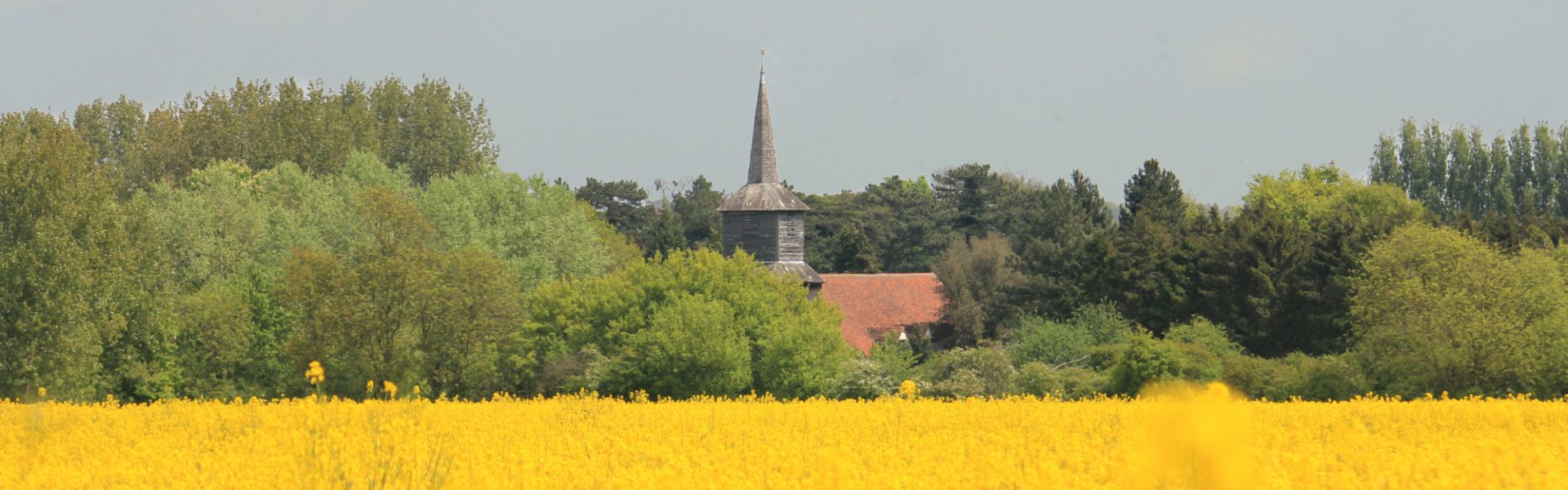 A summer view across open farm land towards the bell tower of St Laurence church.